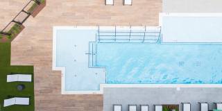 The Scottie Gallery 31