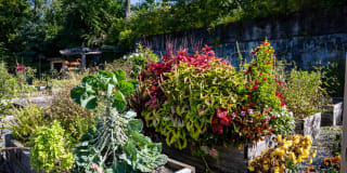 Halstead Providence Gallery 34