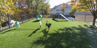 Inwood West Gallery 29