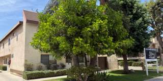 Westwood Properties Gallery 1