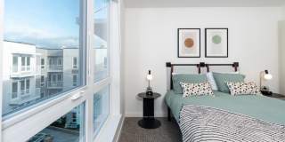 Alexan Main Street Gallery 29