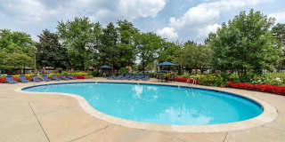 Laurel Valley Gallery 1