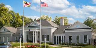 Alvista Bowie Gallery 33