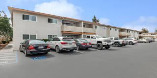 Ladera Woods Gallery 15