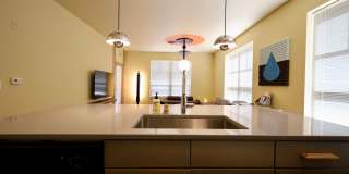 Settlement Place Gallery 234