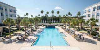 Delamarre at Celebration Gallery 15