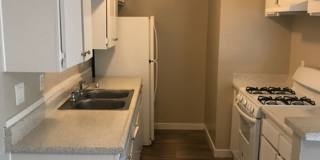 Garden View Gallery 11