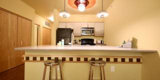 Settlement Place Gallery 318