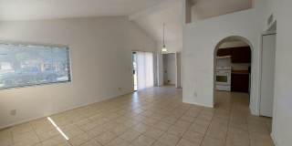 Desert Shadows Gallery 3