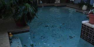 Great Downtown Living, Condo for Rent in Austin, 700 S. 1st Gallery 8