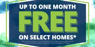 Marbella on Dean Gallery 2