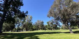 4328 Forest Oaks Drive Gallery 19