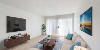 Whitehall Apartments Gallery 2