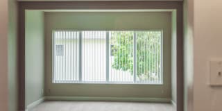 Spectra at Plantation Gallery 17