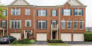 13557 LAVENDER MIST Lane Gallery 1