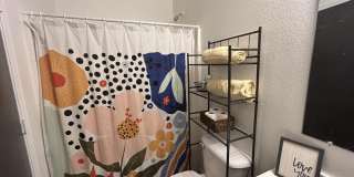 13939 N 132nd Lane Gallery 17
