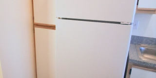 #330 AUTUMN CHASE Gallery 13