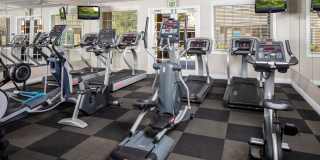 Homecoming At Creekside Gallery 25