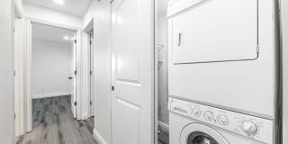 Terra Verde Gallery 26