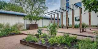 1600 Barton Springs Rd 1600 Barton Springs Rd Gallery 22