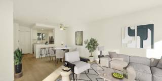 Larkspur Courts Gallery 7
