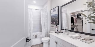 Novel Cary Gallery 4