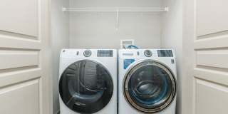 RIZE at Winter Springs Gallery 154