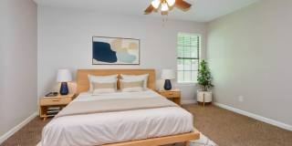 3016 Shade Tree Cove Gallery 12