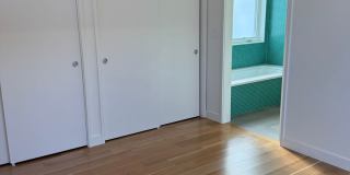 Silver Maple Stunning Gallery 17