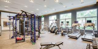 Allure by Windsor Gallery 26