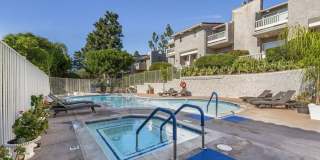 28370 Rey De Copas Ln Gallery 31