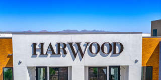 Harwood on Cave Creek Gallery 29