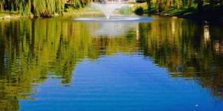 1005 Lakefront Drive Gallery 1
