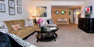 Bay Hills Gallery 14