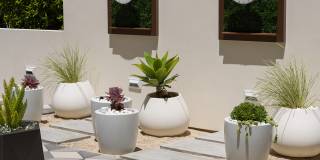 Belle on Bev Belle on Bev Gallery 40