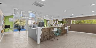 Trio Trio Gallery 11