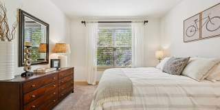 Andante at Nine Mile Station Gallery 28