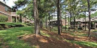 Knollwood Gallery 11