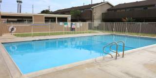 Newland Garden Gallery 3