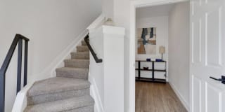 Palomino Park Resort Gallery 22