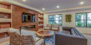 Vineyards Gallery 68