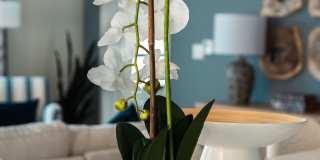 Abendroth Gallery 53