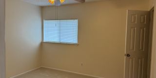 4622 Rock Nettle Gallery 16