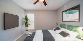 Chatham Wood Gallery 15