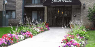 Silver Pines Gallery 12