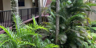 10855 SW 112th Ave Gallery 19