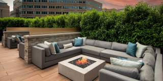 Signature at Reston Town Center Gallery 14