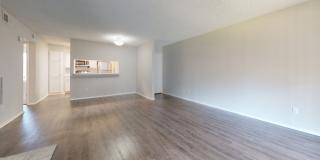 Hilton Head Gallery 27