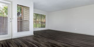 Harbor Walk Gallery 38