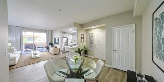 Allure at Camarillo Gallery 8